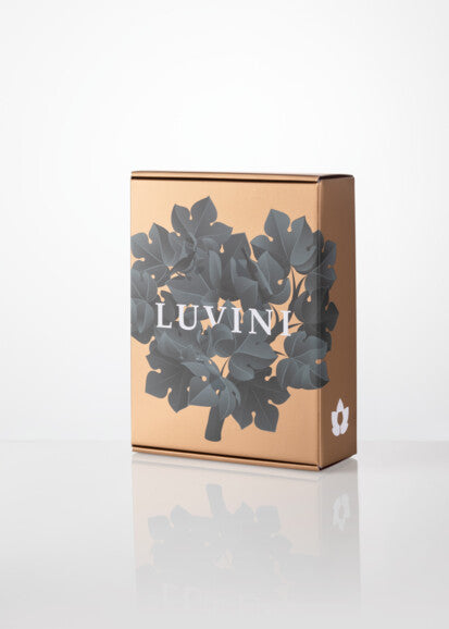 Luvini Box v modrém provedení foto 1